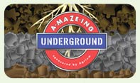 The A-Maze-ing Underground Game