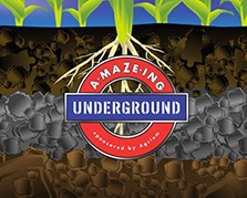 A-Maze-ing Underground