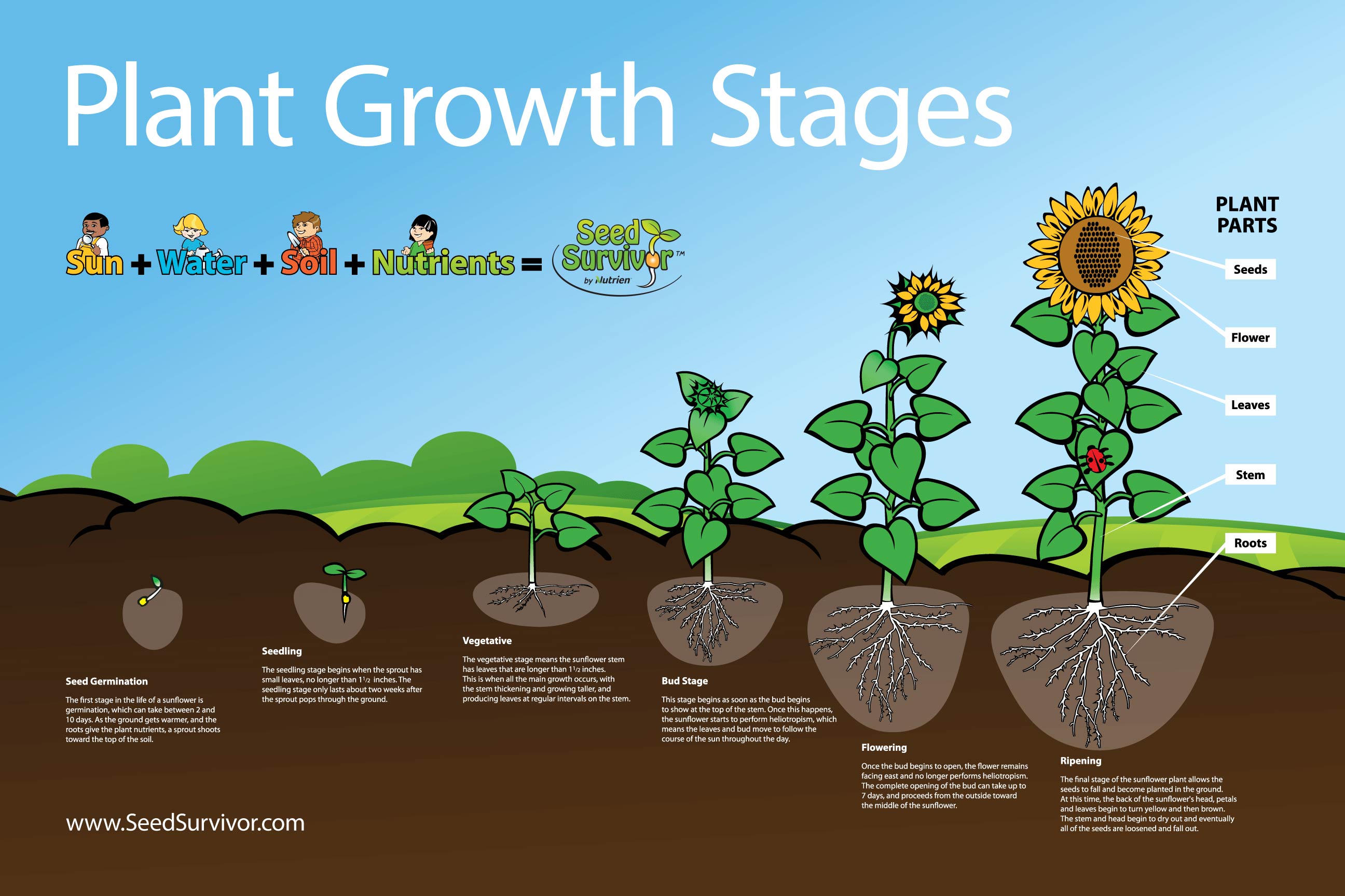 research about plants growth